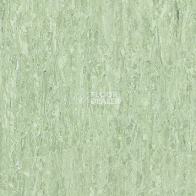 Линолеум Tarkett iq Optima LIGHT GREEN 0253 фото 1 | FLOORDEALER